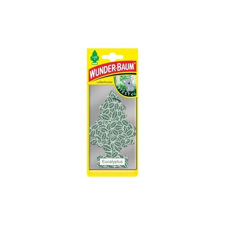 Wunder-Baum choinka zapachowa-Eucalyptus