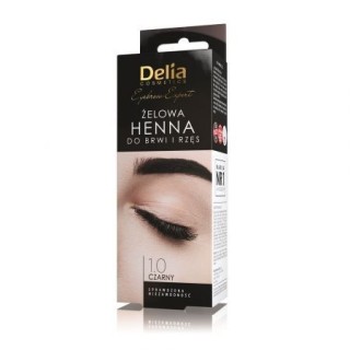 Delia Henna do brwi żelowa 1.0 Czarny