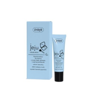 Ziaja Jeju Fluid-concealer for the face 30 ml