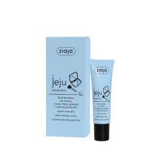 Ziaja Jeju Fluid-Face Concealer 30 ml Ziaja Jeju Fluid-Face Concealer 30 ml