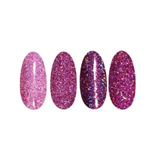 Ronney Holo Effect nail powder /22/ Pink and blue