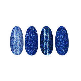 Ronney Holo Effect nail powder /23/ Blue