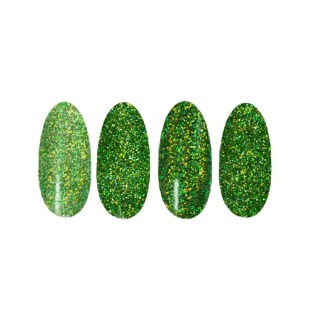 Ronney Holo Effect nail powder /27/ Light green