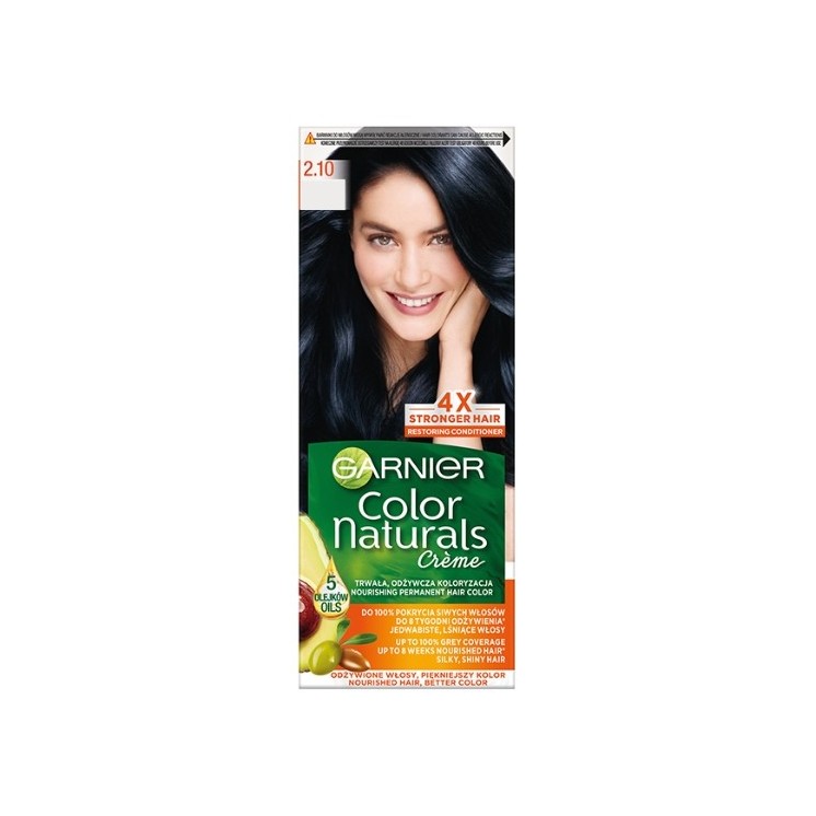 Garnier Color Naturals Hair dye /2.10/ Berry Black
